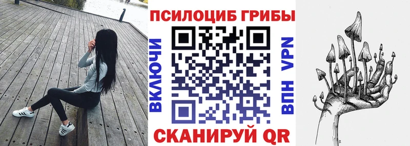 Галлюциногенные грибы GOLDEN TEACHER  купить наркоту  Сыктывкар 