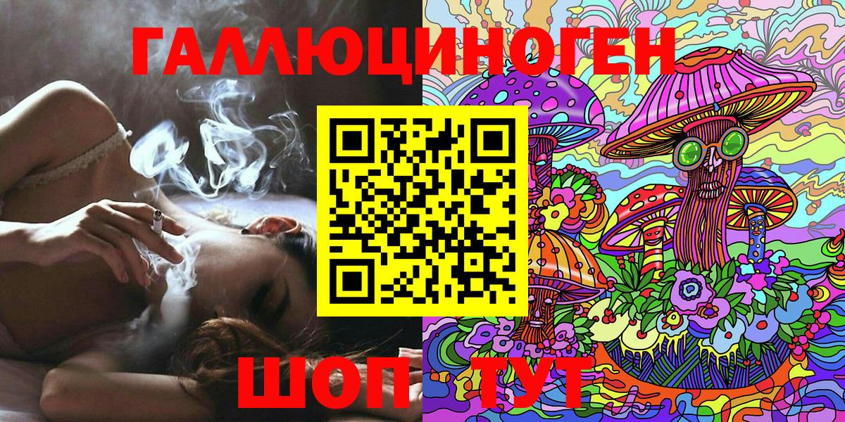 Псилоцибиновые грибы Cubensis Сыктывкар