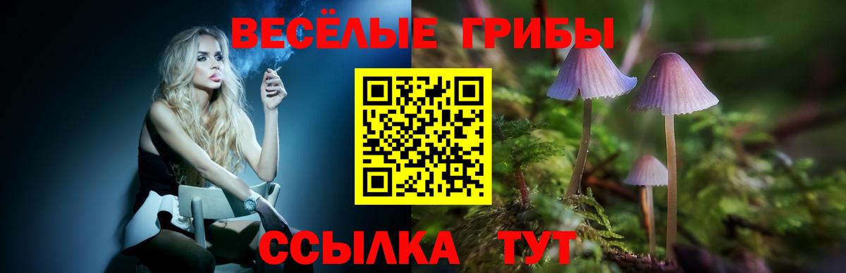 Сыктывкар  Галлюциногенные грибы Psilocybine cubensis  Вход с VPN 